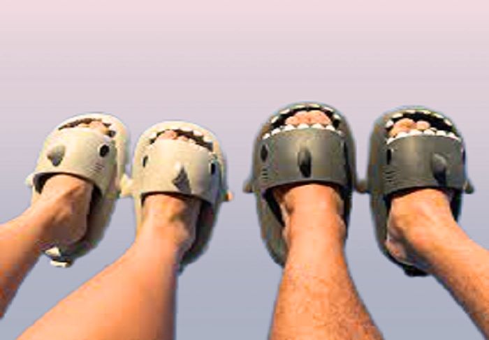 Shark Slides